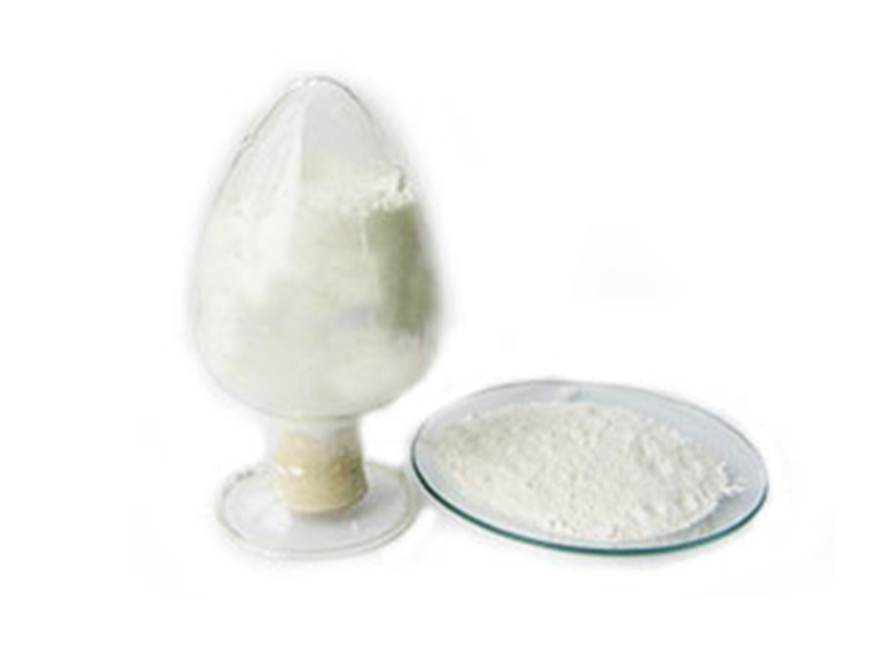 jinnianhui���� - �����