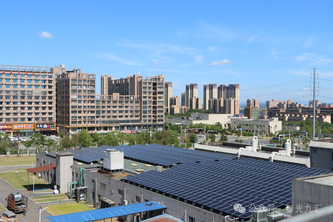 jinnianhui官网 - 金年会