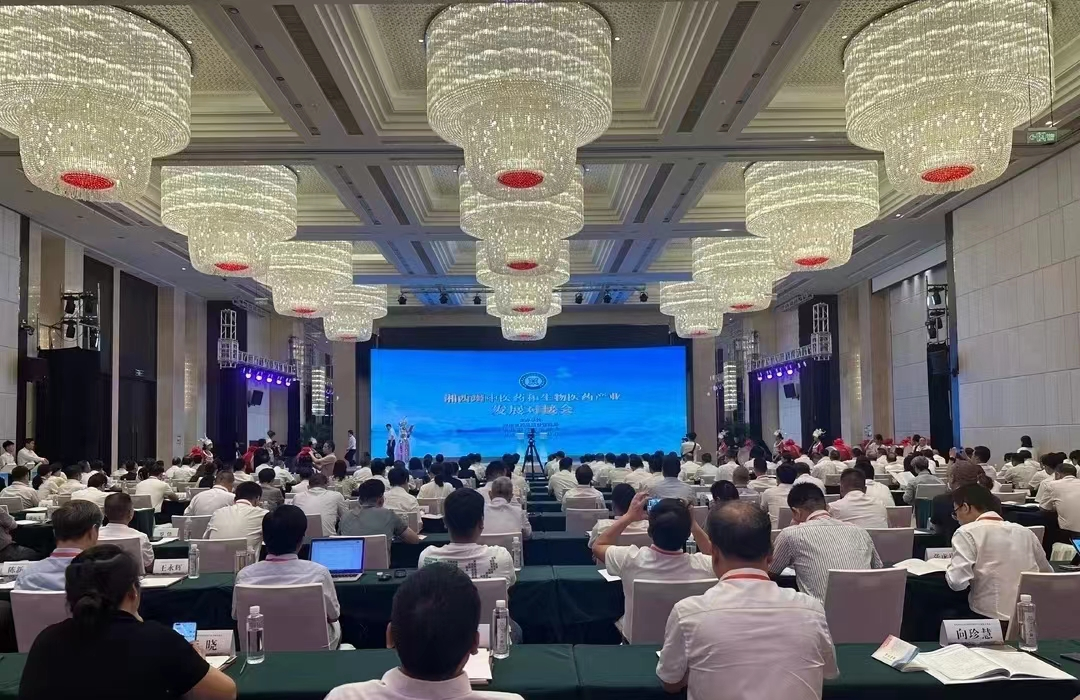 jinnianhui���� - �����