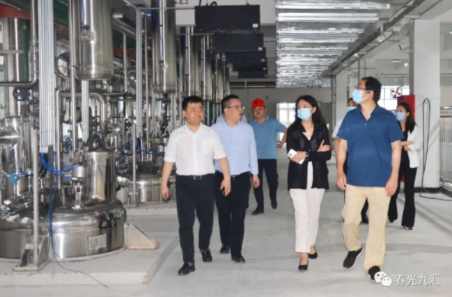 jinnianhui���� - �����