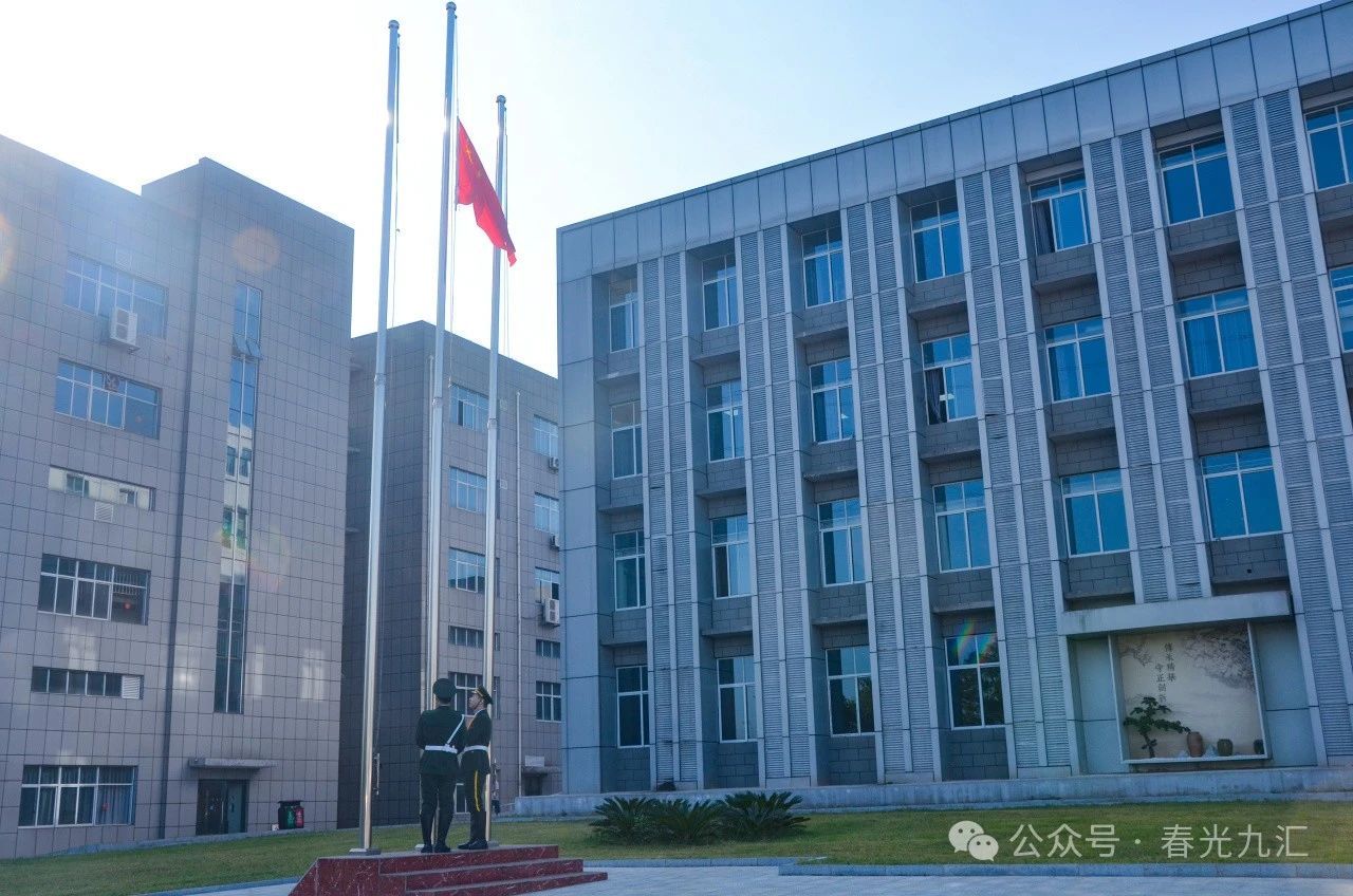 jinnianhui���� - �����