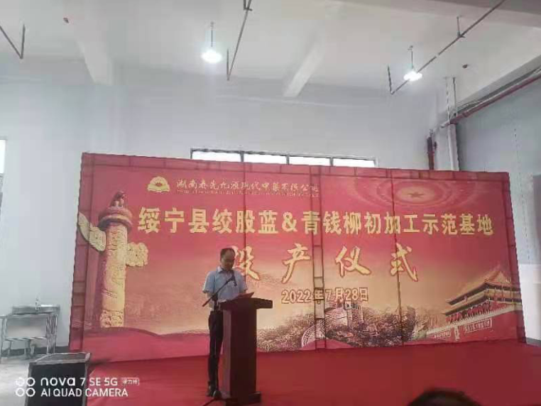 jinnianhui���� - �����