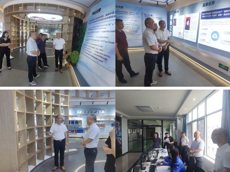 jinnianhui���� - �����