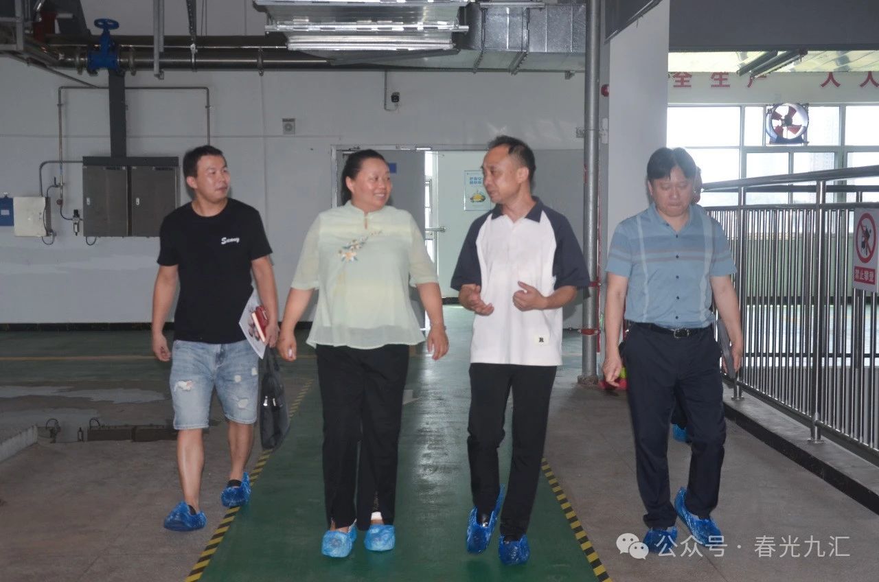 jinnianhui官网 - 金年会