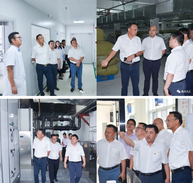 jinnianhui���� - �����