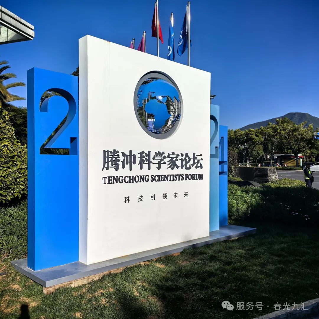 jinnianhui���� - �����