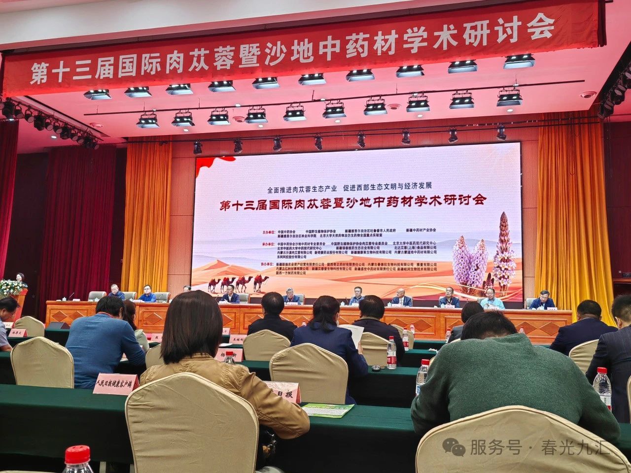 jinnianhui���� - �����