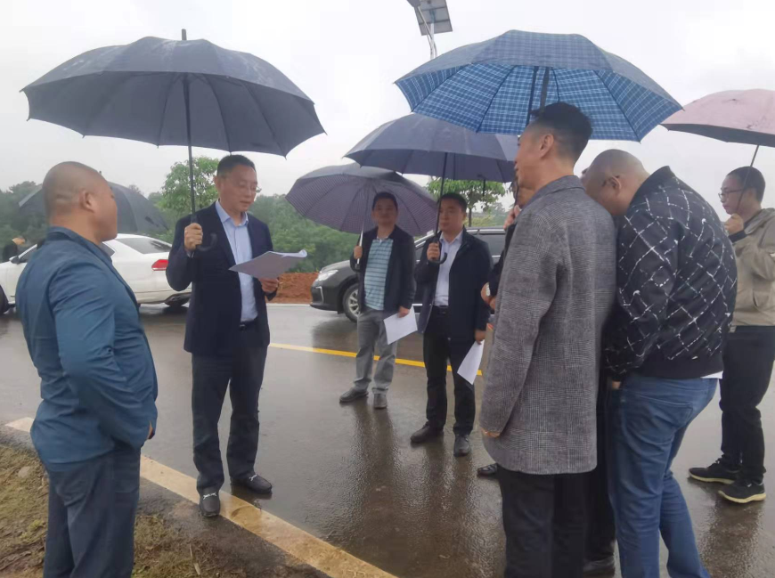 jinnianhui���� - �����