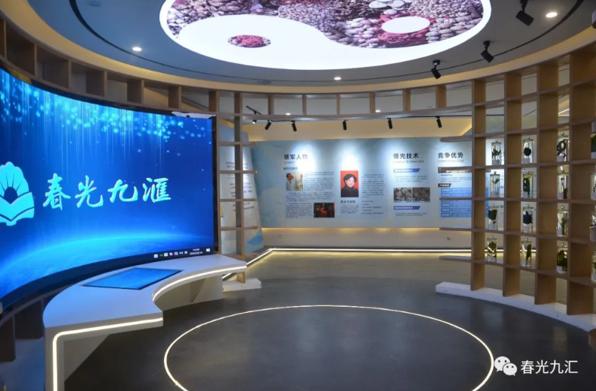 jinnianhui¹ÙÍø - ½ðÄê»á