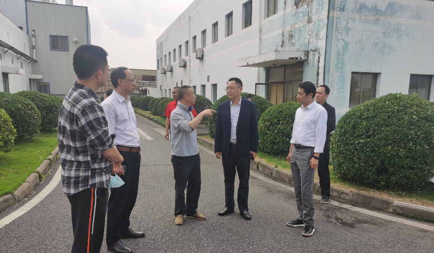 jinnianhui���� - �����