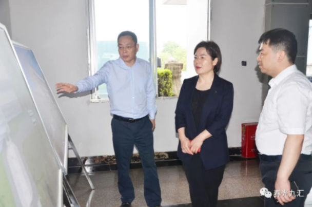 jinnianhui���� - �����