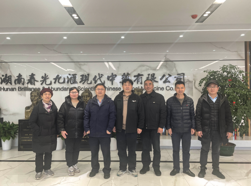 jinnianhui���� - �����