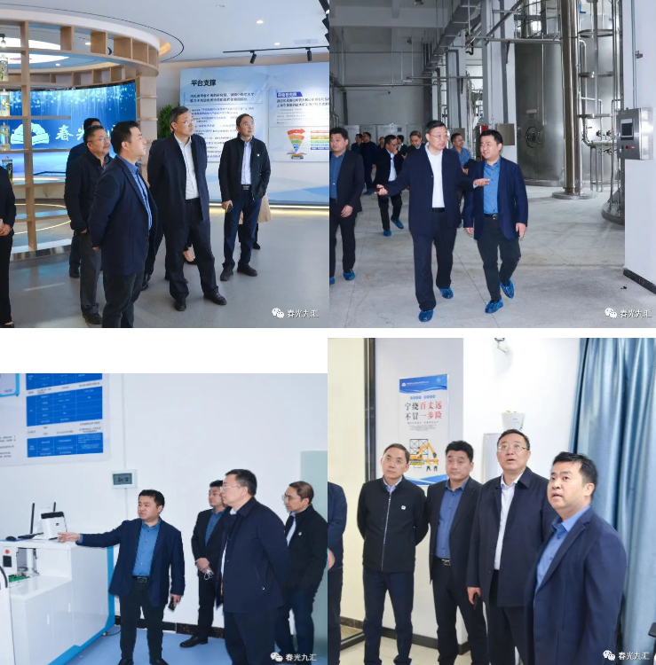 jinnianhui���� - �����